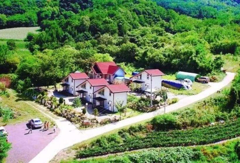 Yanggu Always Sol Pension