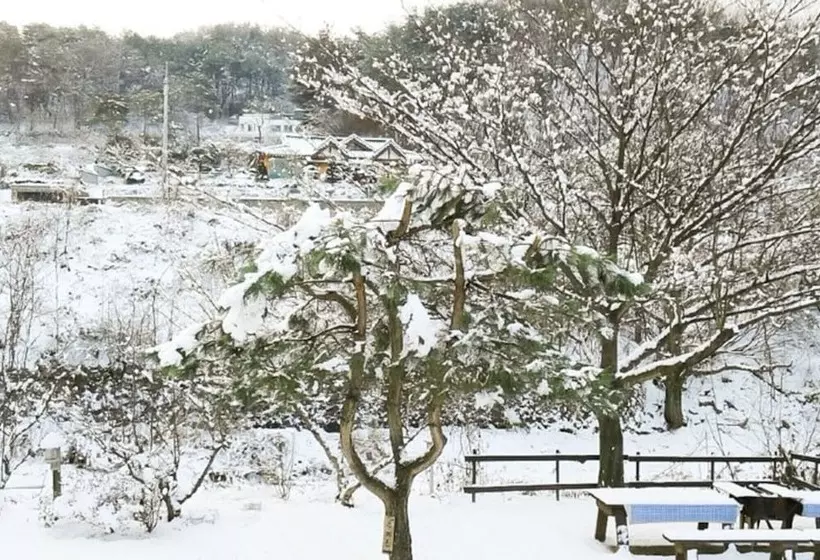 Yangpyeong Pension Ann