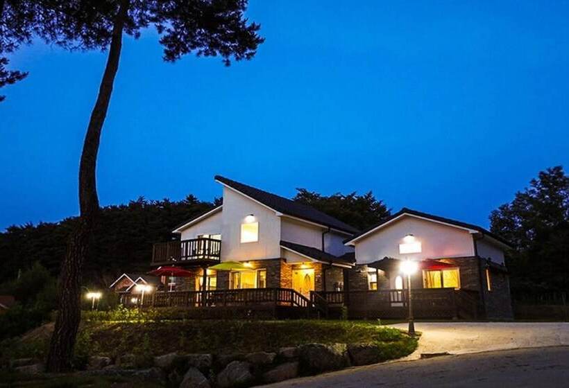 Yangyang Mono Tree Pension