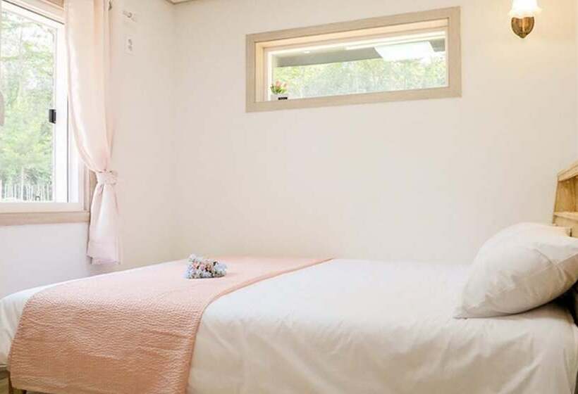 Yangyang Mono Tree Pension