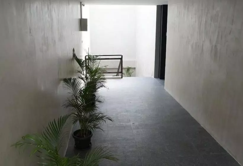 Hostel Dparagon Kerten