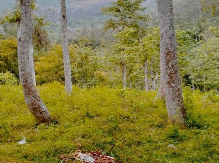 Hotel Kumaran Kudil New Family Home Stay Vl Bodinayakkanur, Theni