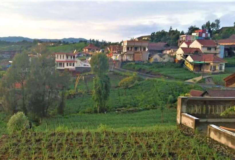 ホテル Rahayu Jawarika Bromo