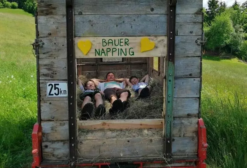 Bauernhof   Pension Stauder   Vlg. Oberrauter