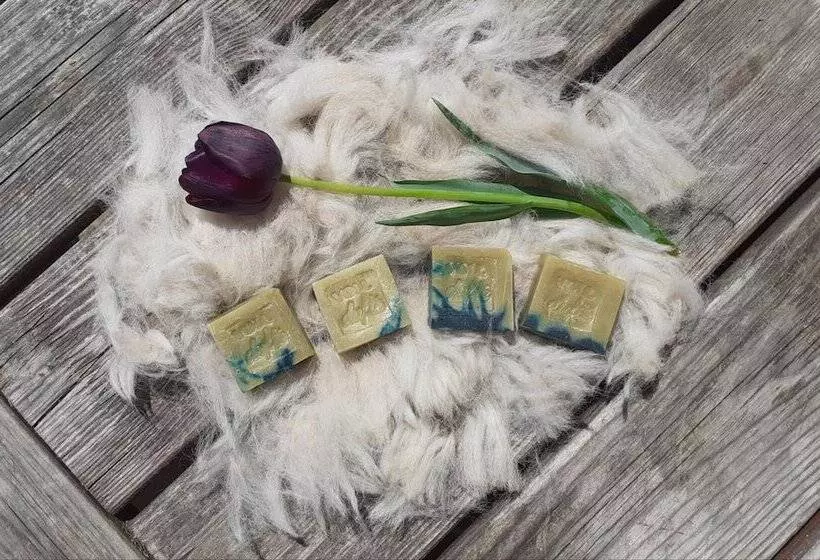 Bauernhof   Pension Stauder   Vlg. Oberrauter