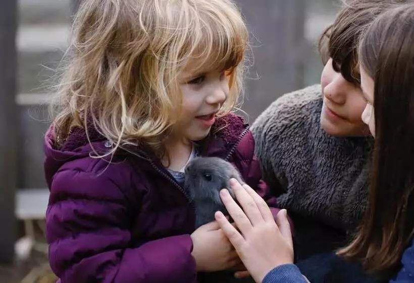 Bauernhof   Pension Stauder   Vlg. Oberrauter