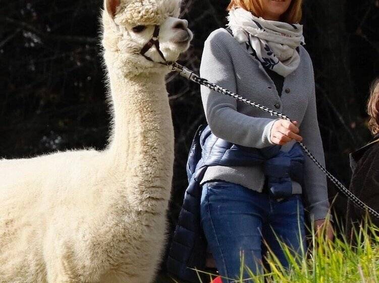 Bauernhof Pension Stauder Vlg. Oberrauter