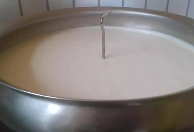 Bauernhof   Pension Stauder   Vlg. Oberrauter