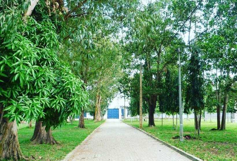 Bed and Breakfast Lys Des Vallées