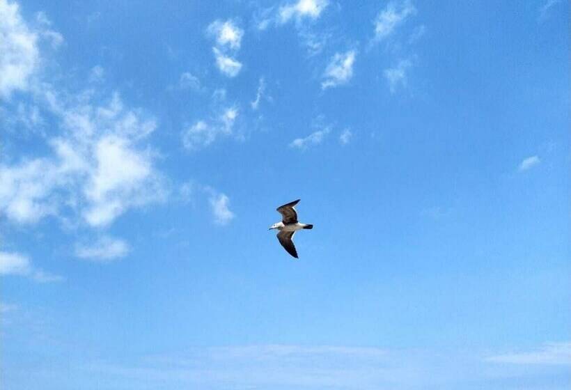 Hostal Venecia  Tu Casa En Manta