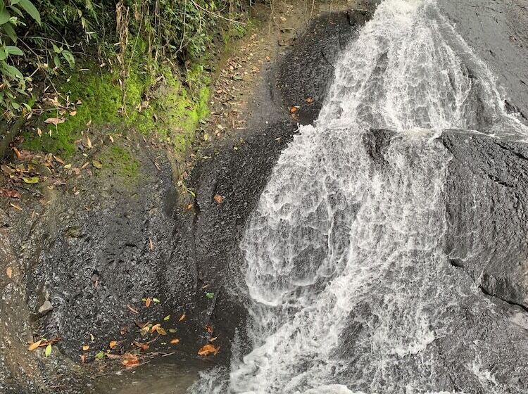 ホテル Refugio Del Bosque Glamping