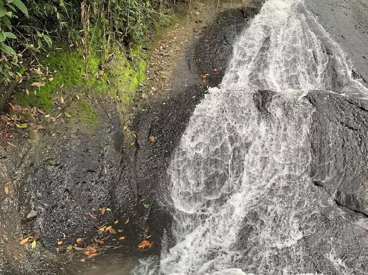 Hotelli Refugio Del Bosque Glamping