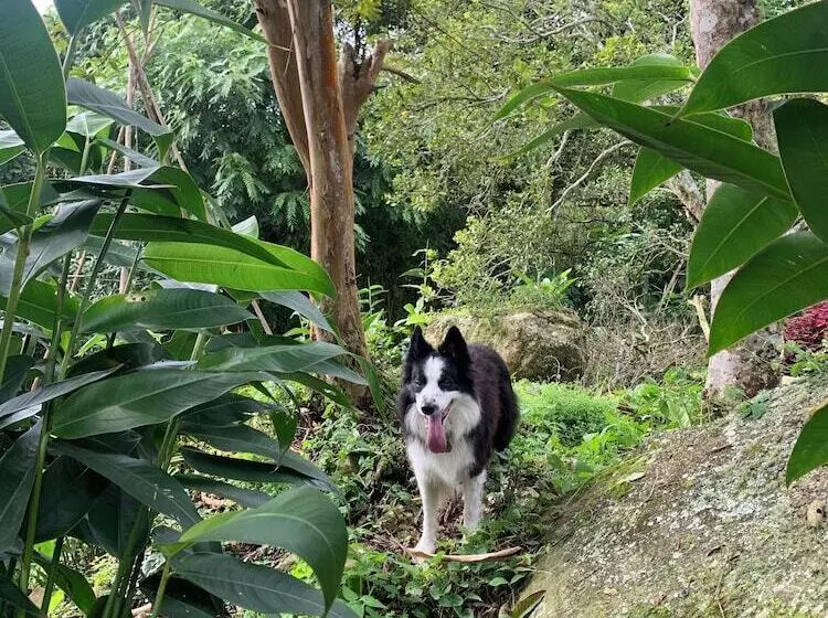 Hotelli Refugio Del Bosque Glamping