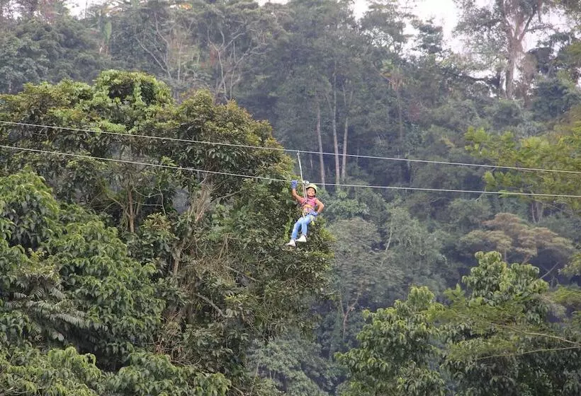 Hotelli Refugio Del Bosque Glamping