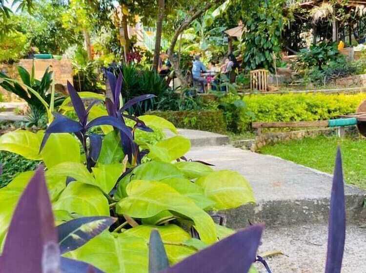 בית מלון כפרי Hostal Doña Consuelo