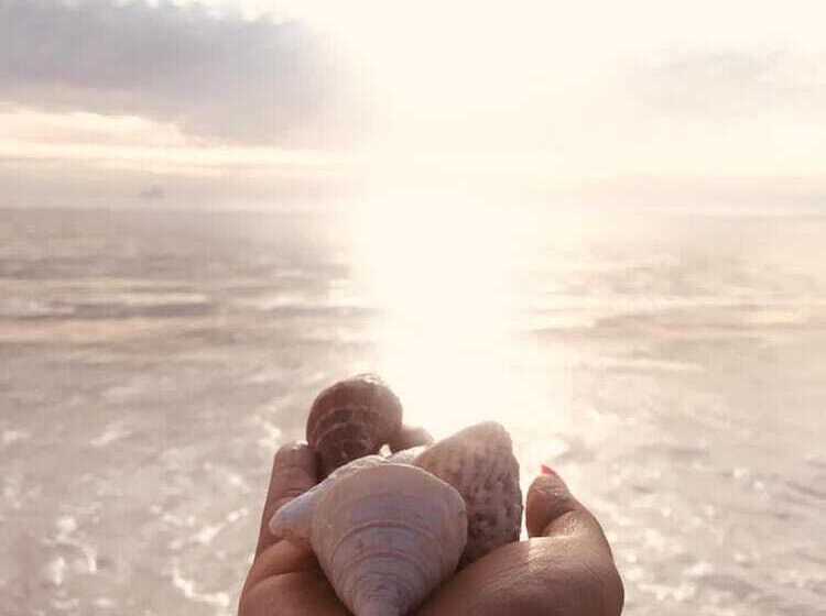 Отель Kilimani Kwetu Beach