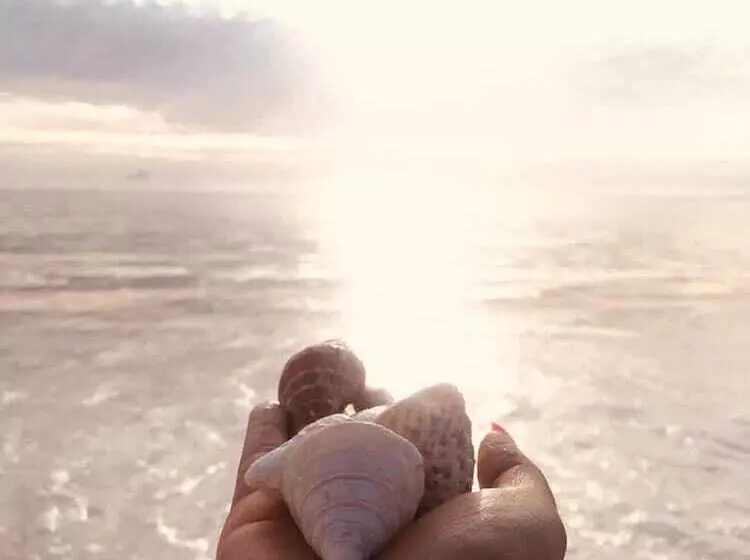 Hotelli Kilimani Kwetu Beach