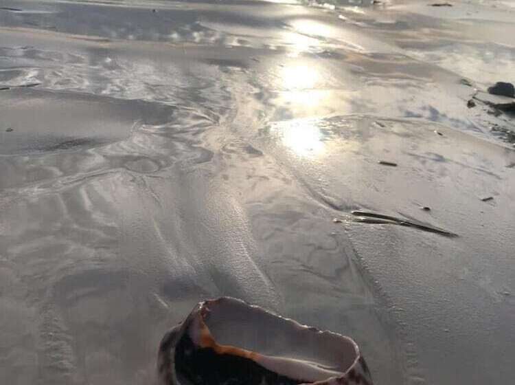 Отель Kilimani Kwetu Beach