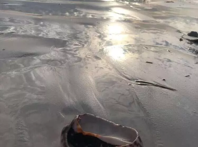 Hotelli Kilimani Kwetu Beach