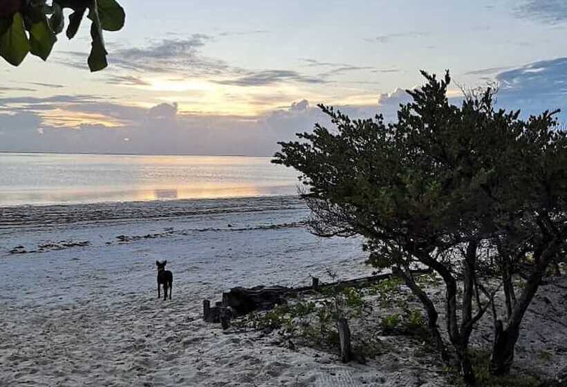 Отель Kilimani Kwetu Beach