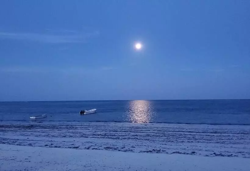 Hotelli Kilimani Kwetu Beach