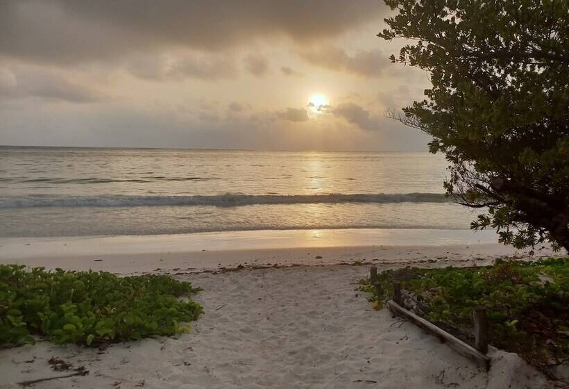 Отель Kilimani Kwetu Beach