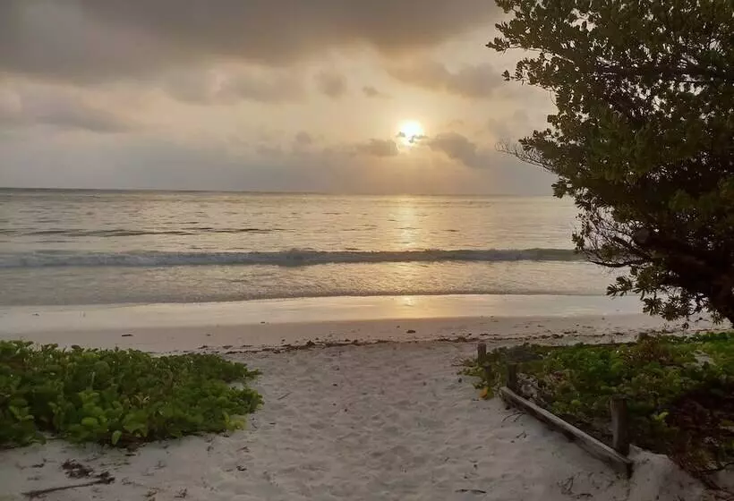 Hotelli Kilimani Kwetu Beach