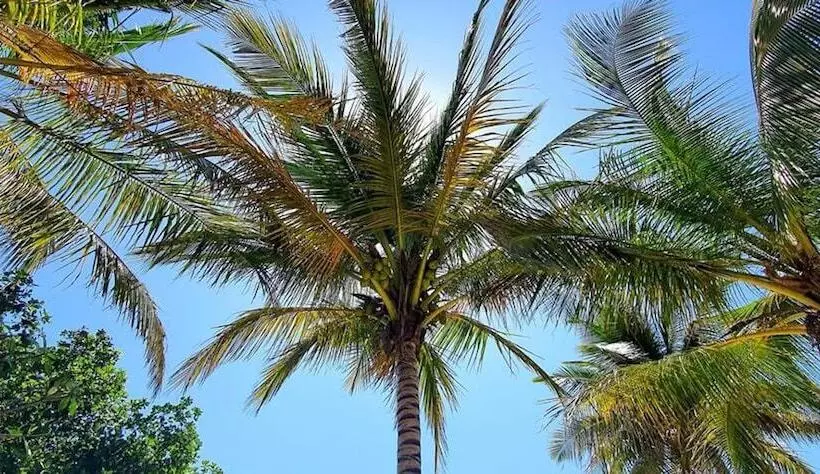 Hotelli Kilimani Kwetu Beach