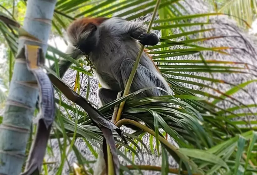 Hotelli Kilimani Kwetu Beach