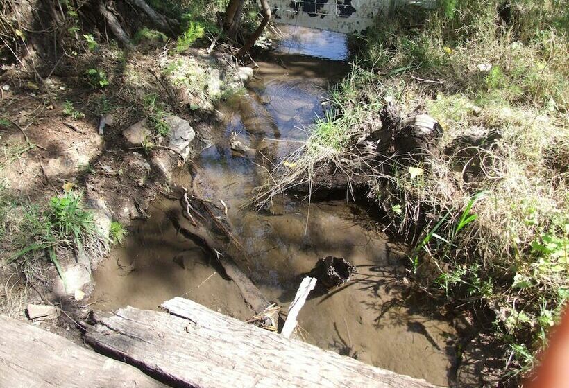 酒店 Klipfontein Game Reserve