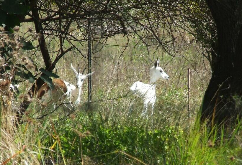 酒店 Klipfontein Game Reserve
