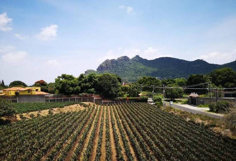 酒店 La Casa Del Volcan