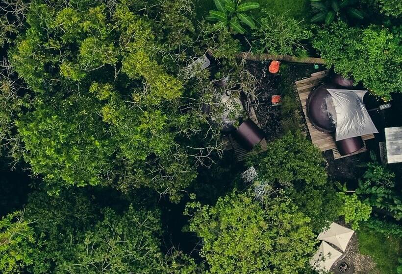 Hotel Mindo Glambird Glamping & Lodge