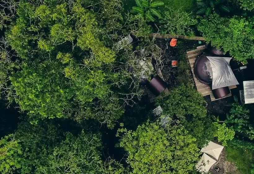 ホテル Mindo Glambird Glamping & Lodge