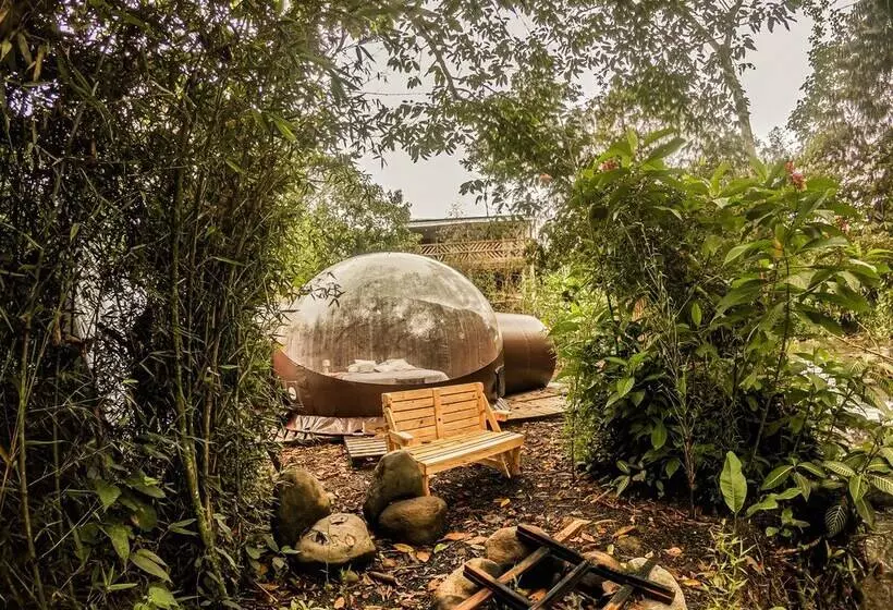 ホテル Mindo Glambird Glamping & Lodge