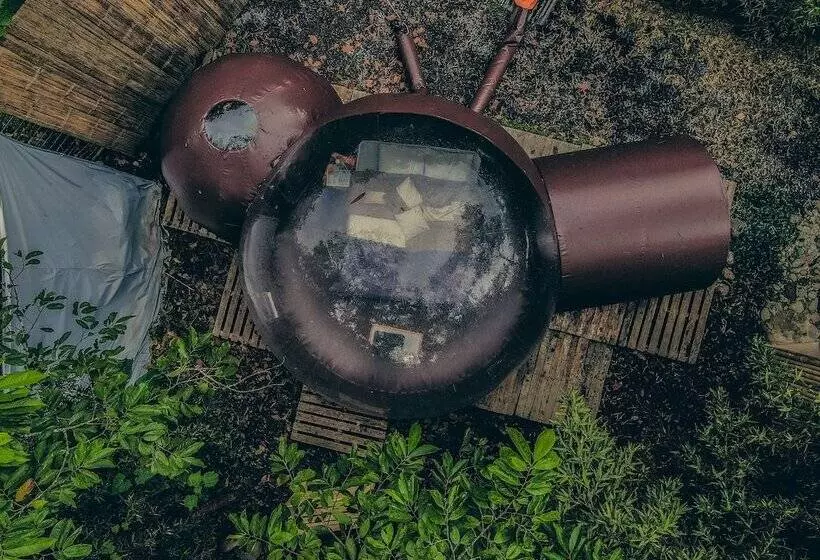 ホテル Mindo Glambird Glamping & Lodge