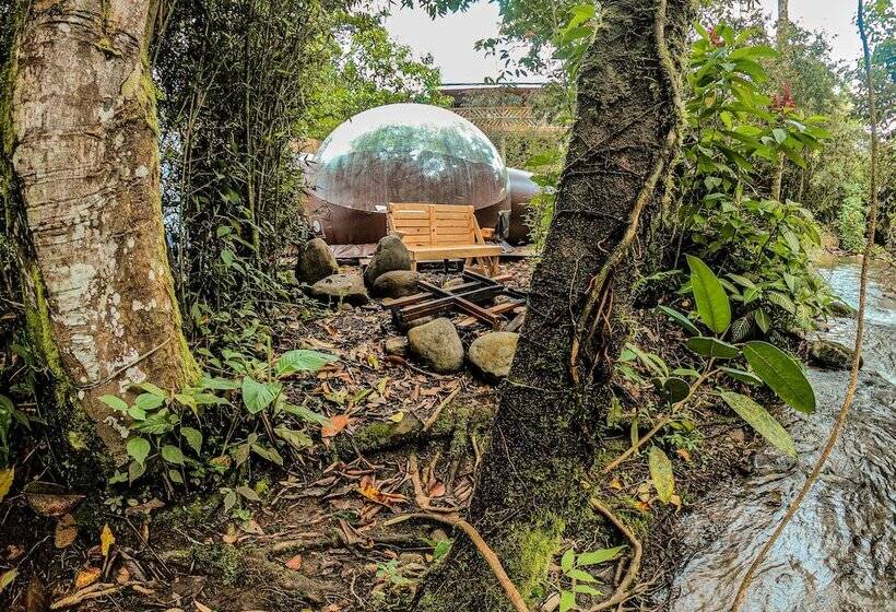 Hotel Mindo Glambird Glamping & Lodge