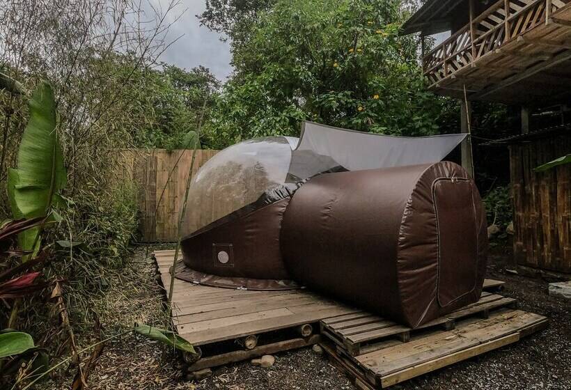 Hotel Mindo Glambird Glamping & Lodge