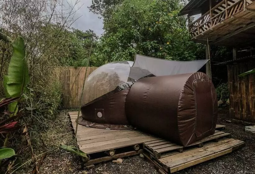 ホテル Mindo Glambird Glamping & Lodge