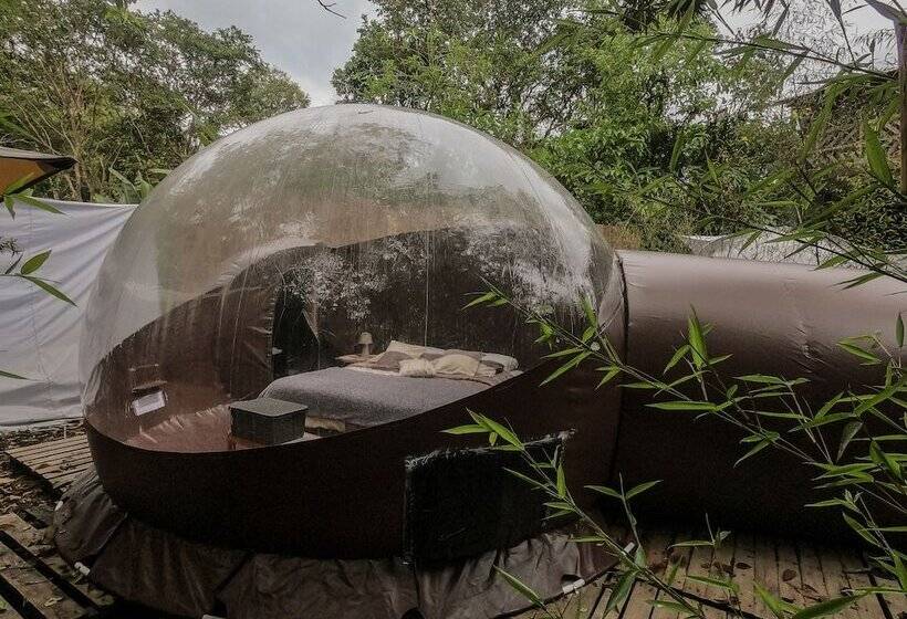 Hotel Mindo Glambird Glamping & Lodge