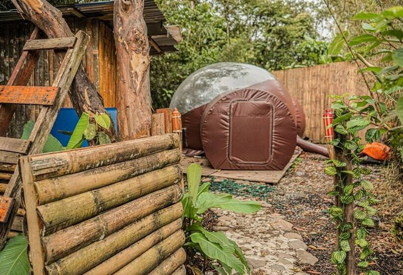 Hotel Mindo Glambird Glamping & Lodge