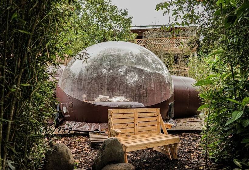 Hotel Mindo Glambird Glamping & Lodge