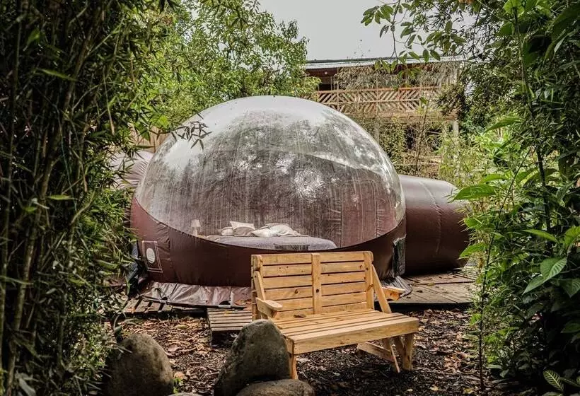 ホテル Mindo Glambird Glamping & Lodge