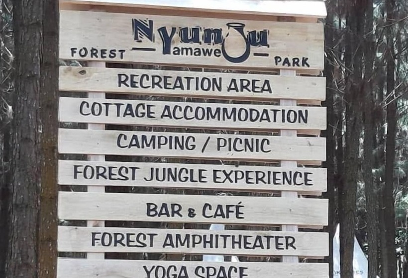 هتل Nyungu Yamawe Forest Park