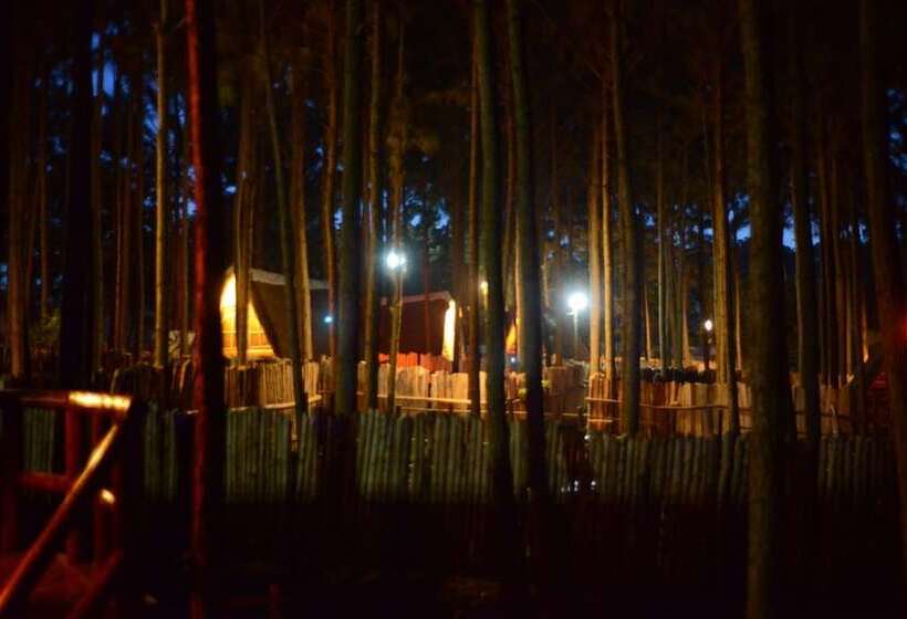 هتل Nyungu Yamawe Forest Park