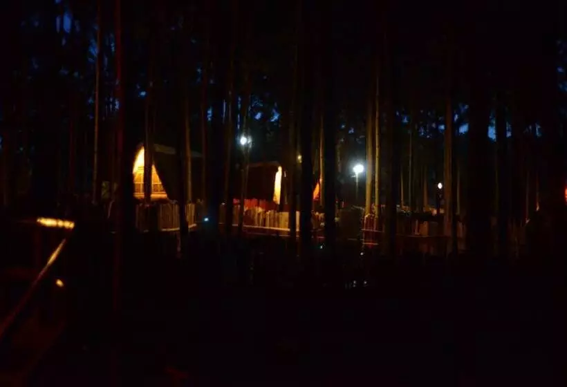 هتل Nyungu Yamawe Forest Park