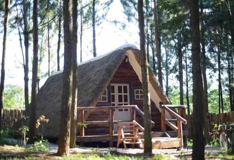 هتل Nyungu Yamawe Forest Park