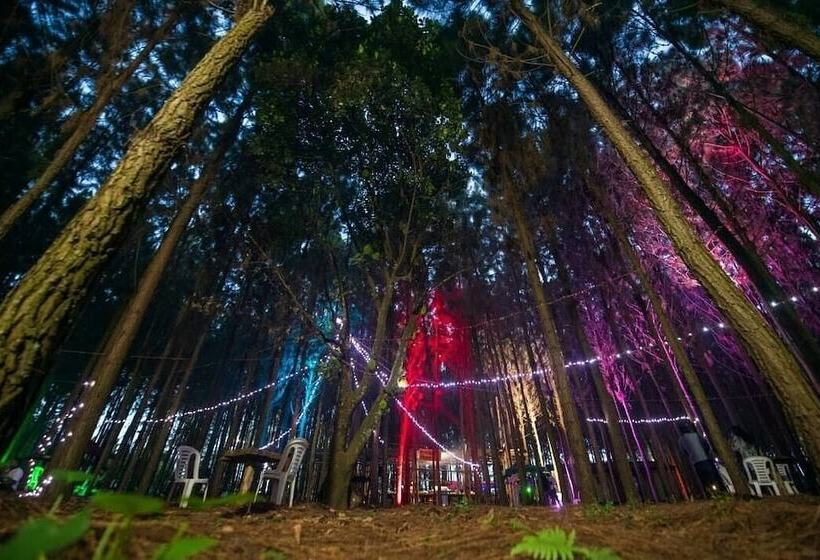 هتل Nyungu Yamawe Forest Park