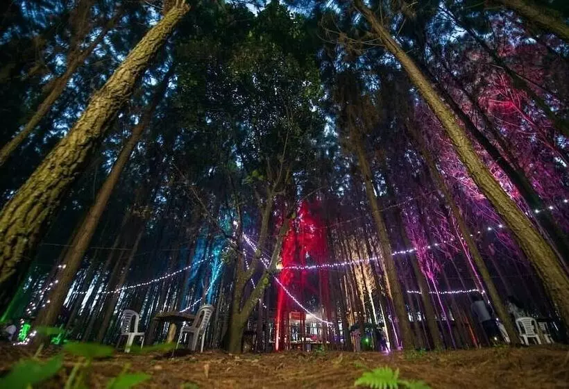 هتل Nyungu Yamawe Forest Park