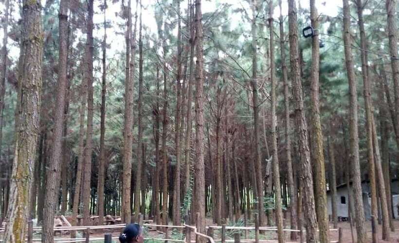 هتل Nyungu Yamawe Forest Park